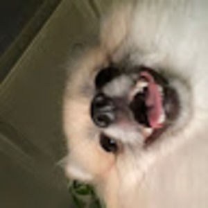 Meet your Posher, Olivia peyton